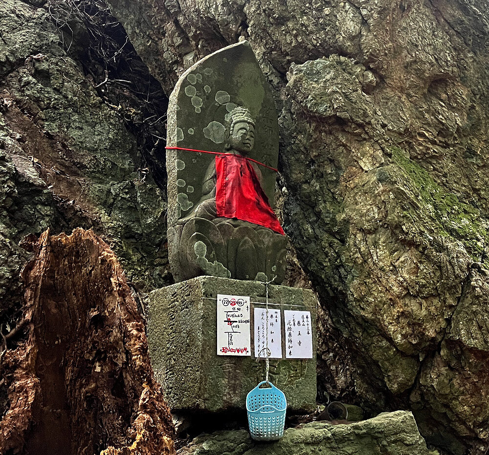 第23番 医王山 無量寿院 薬王寺