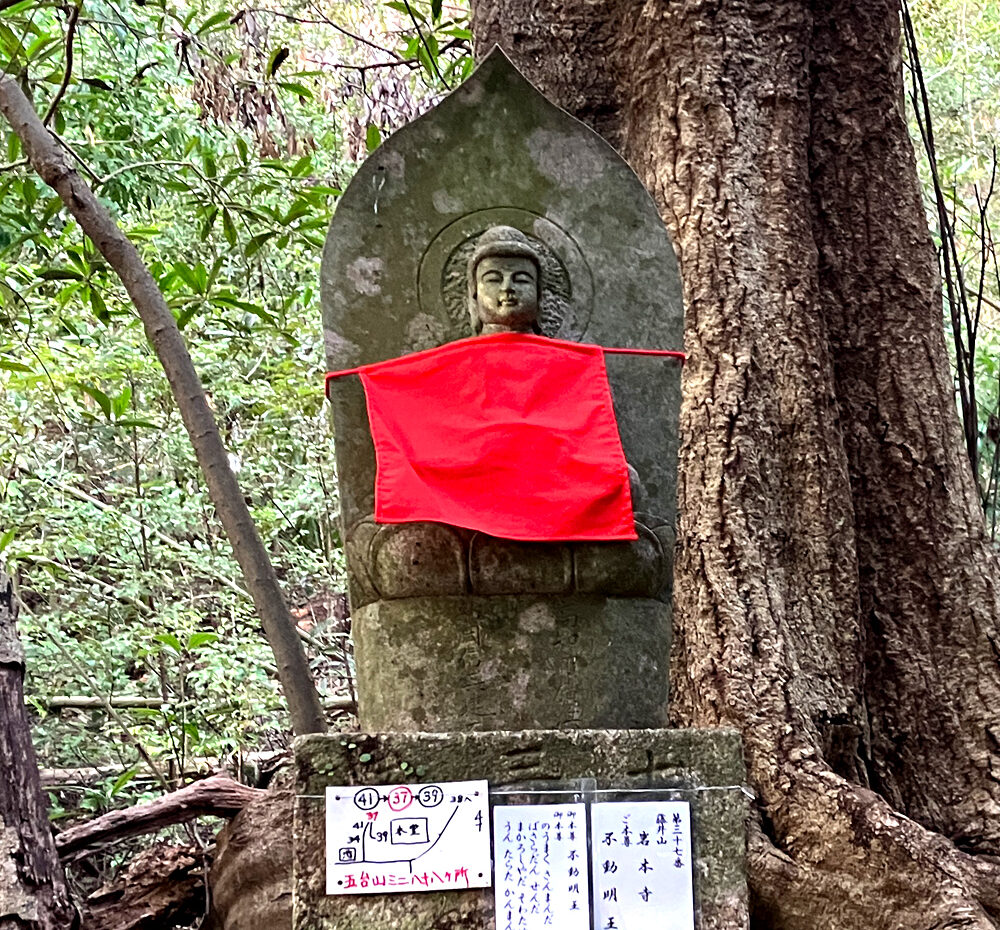 第37番 藤井山 五智院 岩本寺