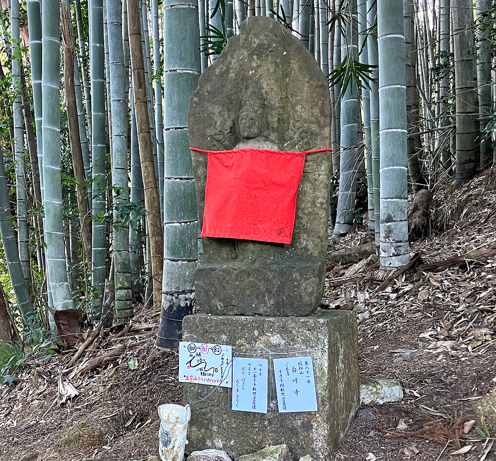 第81番 綾松山 洞林院 白峯寺